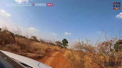 She made me stop in the middle of the road so I could jism in her mouth, dread super-hot having sex in public